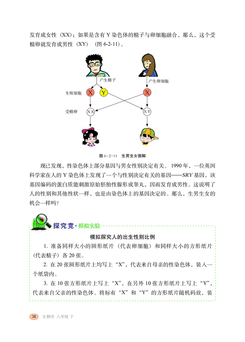 冀少版8年级生物下册高清教材_4-教培资料-26年最新资料-同步更新_初中高中教资_03科三专项（进去保存报考的学科即可）_02科三专项（笔记真题思维导图教学设计版本二）