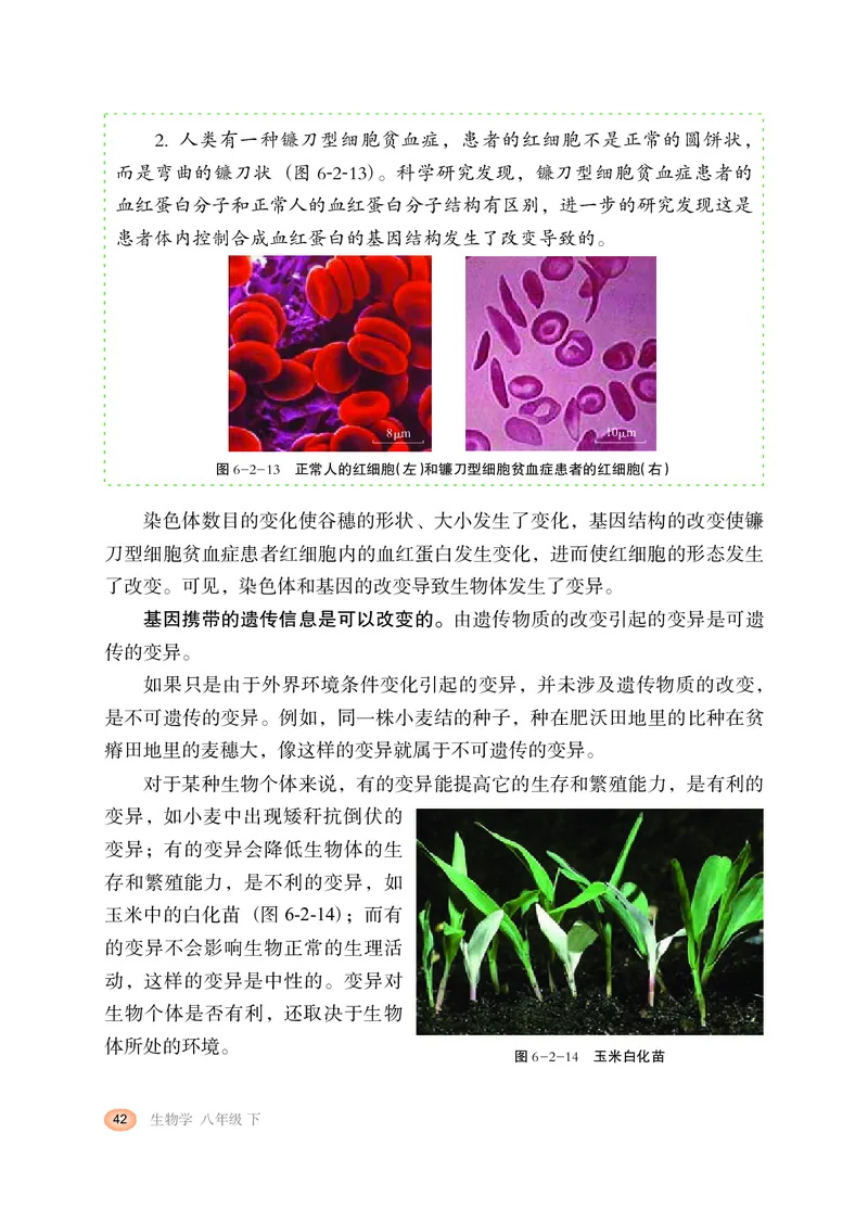 冀少版8年级生物下册高清教材_4-教培资料-26年最新资料-同步更新_初中高中教资_03科三专项（进去保存报考的学科即可）_02科三专项（笔记真题思维导图教学设计版本二）