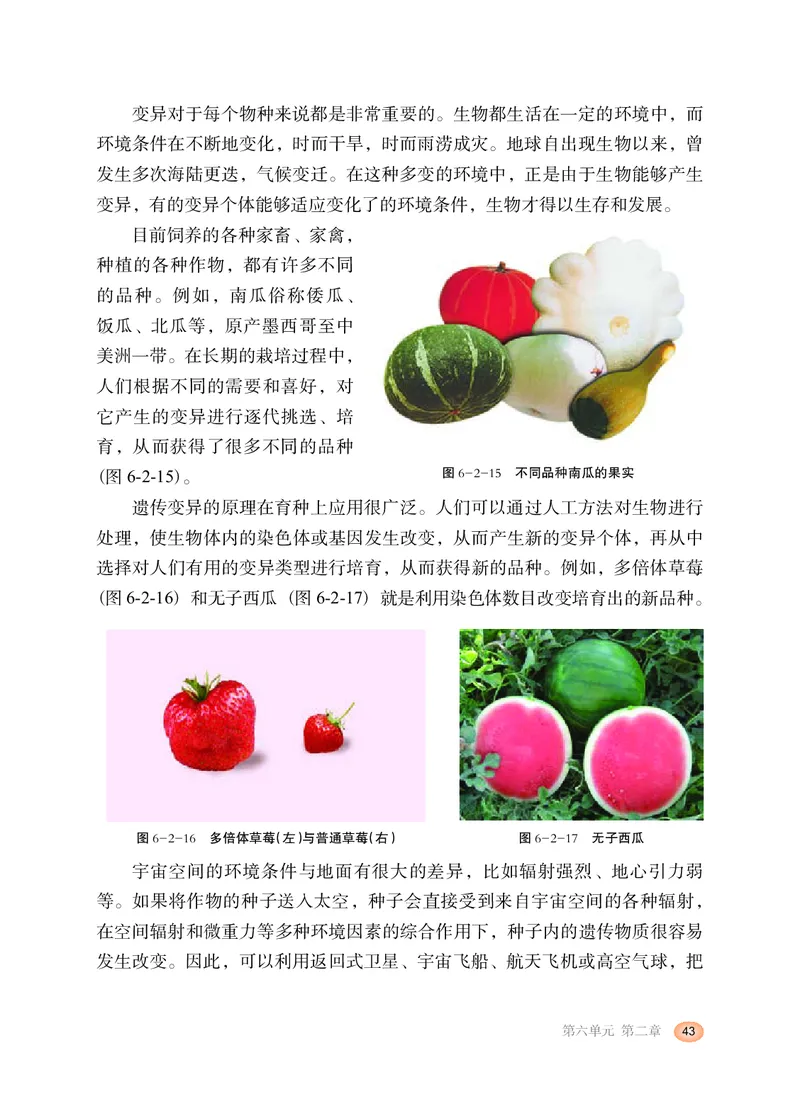 冀少版8年级生物下册高清教材_4-教培资料-26年最新资料-同步更新_初中高中教资_03科三专项（进去保存报考的学科即可）_02科三专项（笔记真题思维导图教学设计版本二）