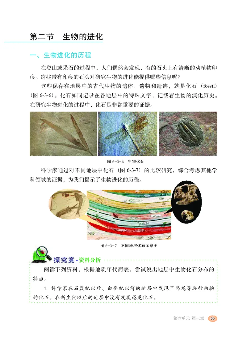 冀少版8年级生物下册高清教材_4-教培资料-26年最新资料-同步更新_初中高中教资_03科三专项（进去保存报考的学科即可）_02科三专项（笔记真题思维导图教学设计版本二）