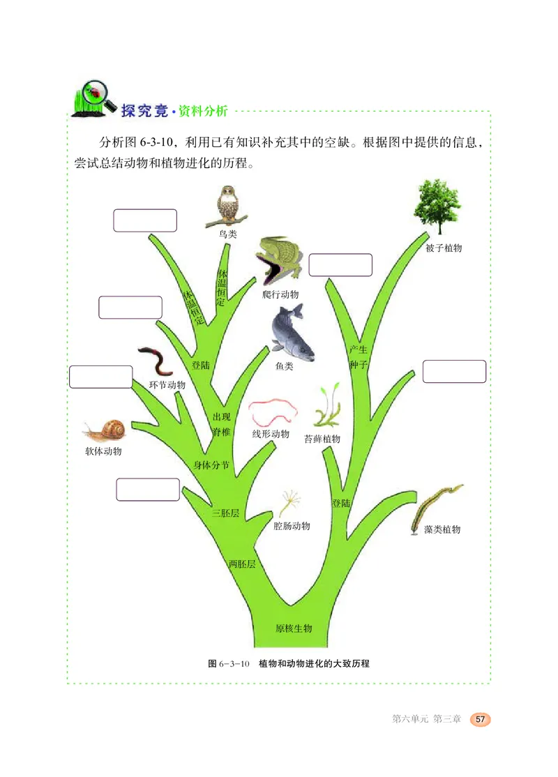 冀少版8年级生物下册高清教材_4-教培资料-26年最新资料-同步更新_初中高中教资_03科三专项（进去保存报考的学科即可）_02科三专项（笔记真题思维导图教学设计版本二）