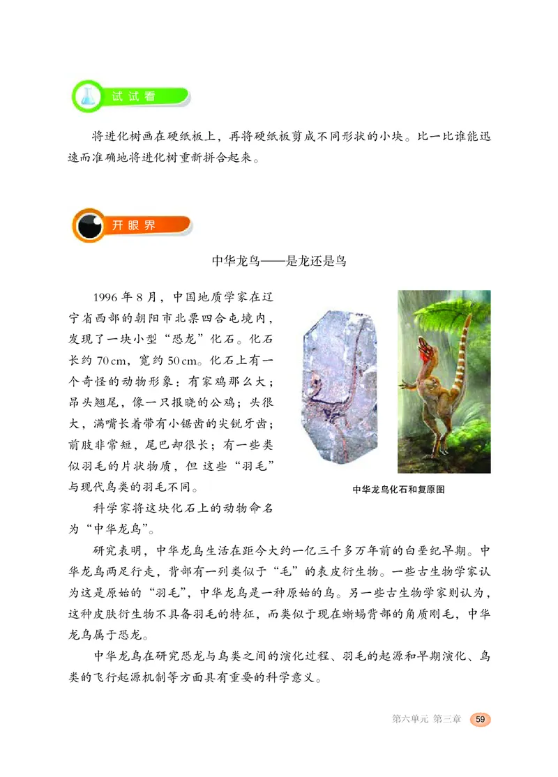 冀少版8年级生物下册高清教材_4-教培资料-26年最新资料-同步更新_初中高中教资_03科三专项（进去保存报考的学科即可）_02科三专项（笔记真题思维导图教学设计版本二）
