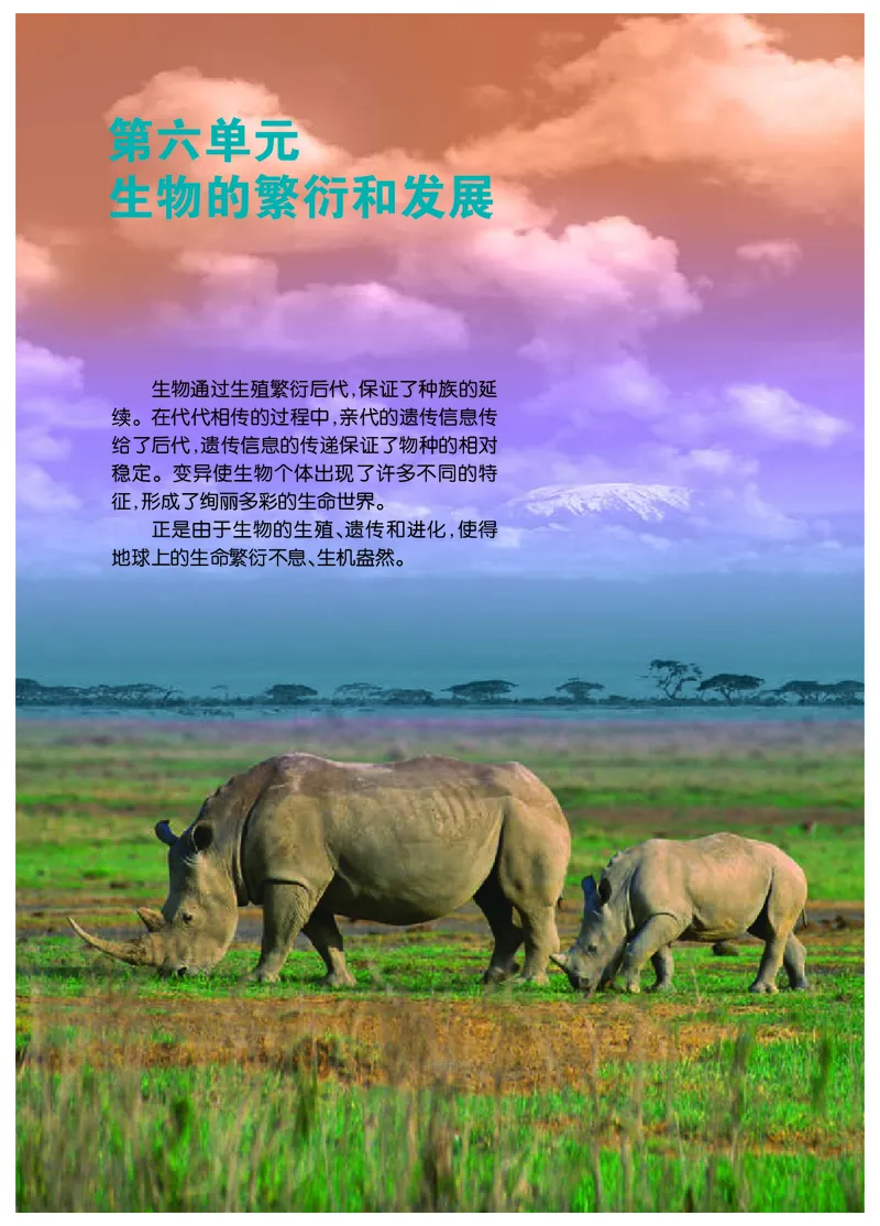 冀少版8年级生物下册高清教材_4-教培资料-26年最新资料-同步更新_初中高中教资_03科三专项（进去保存报考的学科即可）_02科三专项（笔记真题思维导图教学设计版本二）