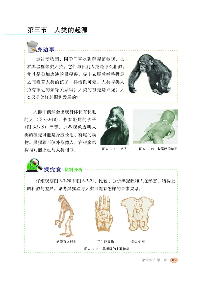 冀少版8年级生物下册高清教材_4-教培资料-26年最新资料-同步更新_初中高中教资_03科三专项（进去保存报考的学科即可）_02科三专项（笔记真题思维导图教学设计版本二）