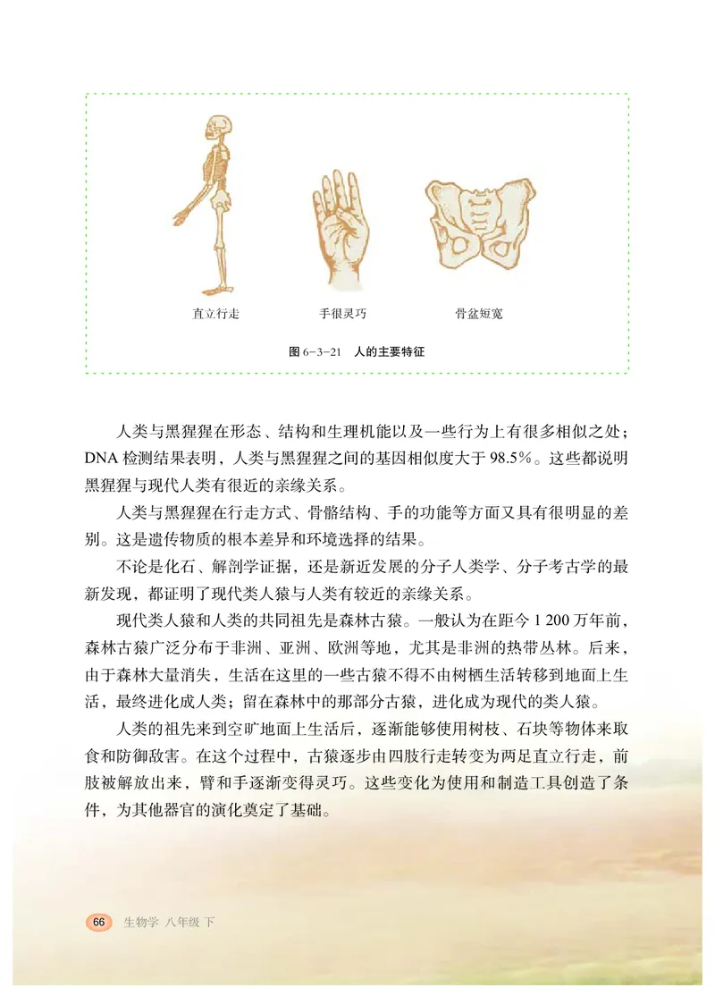 冀少版8年级生物下册高清教材_4-教培资料-26年最新资料-同步更新_初中高中教资_03科三专项（进去保存报考的学科即可）_02科三专项（笔记真题思维导图教学设计版本二）