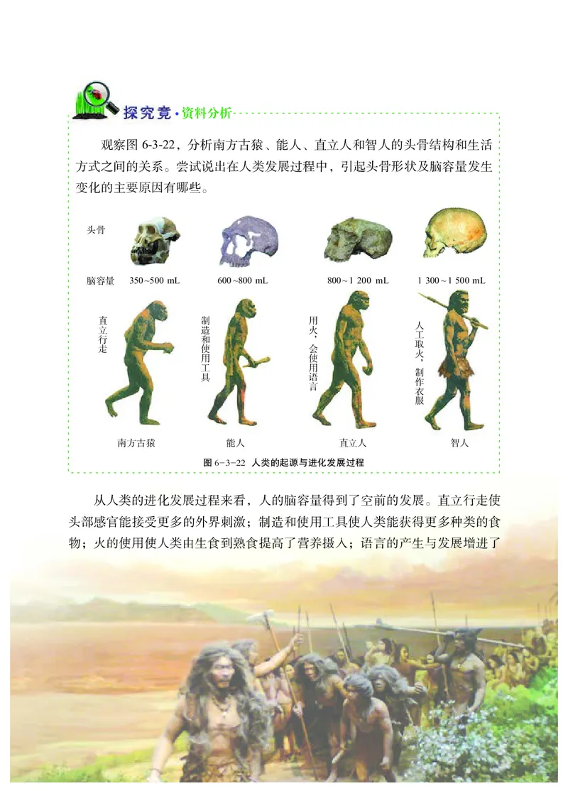 冀少版8年级生物下册高清教材_4-教培资料-26年最新资料-同步更新_初中高中教资_03科三专项（进去保存报考的学科即可）_02科三专项（笔记真题思维导图教学设计版本二）