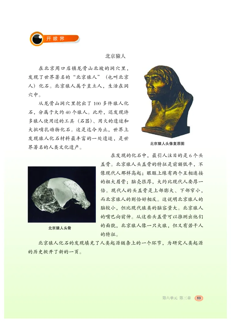 冀少版8年级生物下册高清教材_4-教培资料-26年最新资料-同步更新_初中高中教资_03科三专项（进去保存报考的学科即可）_02科三专项（笔记真题思维导图教学设计版本二）