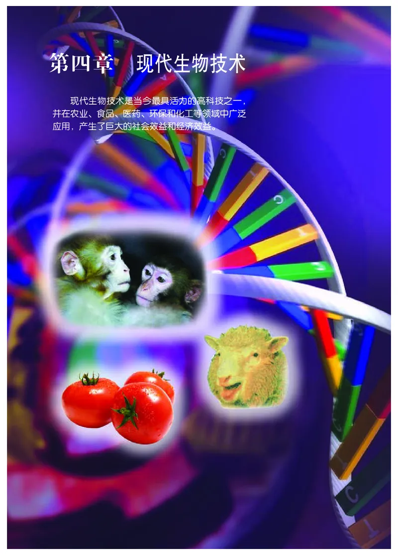 冀少版8年级生物下册高清教材_4-教培资料-26年最新资料-同步更新_初中高中教资_03科三专项（进去保存报考的学科即可）_02科三专项（笔记真题思维导图教学设计版本二）