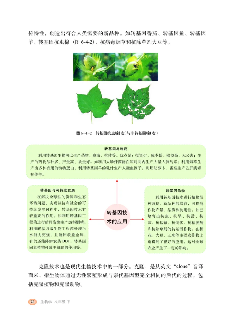 冀少版8年级生物下册高清教材_4-教培资料-26年最新资料-同步更新_初中高中教资_03科三专项（进去保存报考的学科即可）_02科三专项（笔记真题思维导图教学设计版本二）