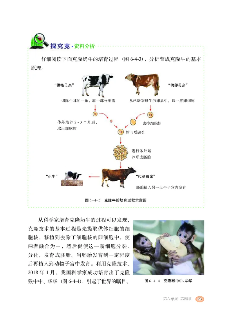 冀少版8年级生物下册高清教材_4-教培资料-26年最新资料-同步更新_初中高中教资_03科三专项（进去保存报考的学科即可）_02科三专项（笔记真题思维导图教学设计版本二）