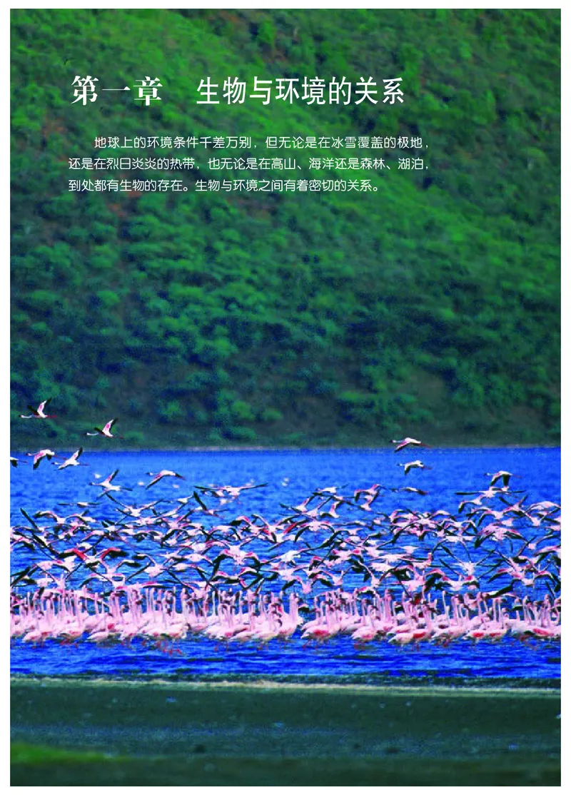 冀少版8年级生物下册高清教材_4-教培资料-26年最新资料-同步更新_初中高中教资_03科三专项（进去保存报考的学科即可）_02科三专项（笔记真题思维导图教学设计版本二）