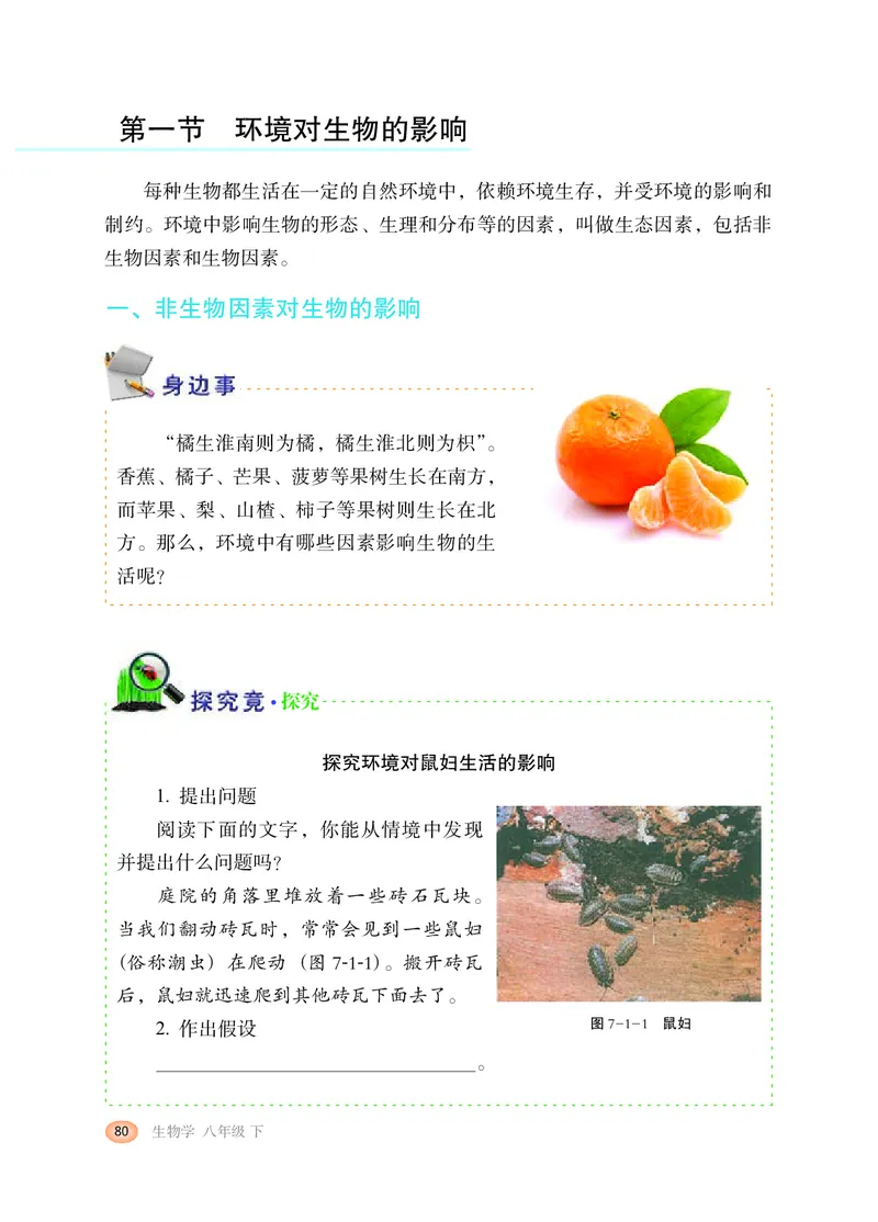 冀少版8年级生物下册高清教材_4-教培资料-26年最新资料-同步更新_初中高中教资_03科三专项（进去保存报考的学科即可）_02科三专项（笔记真题思维导图教学设计版本二）