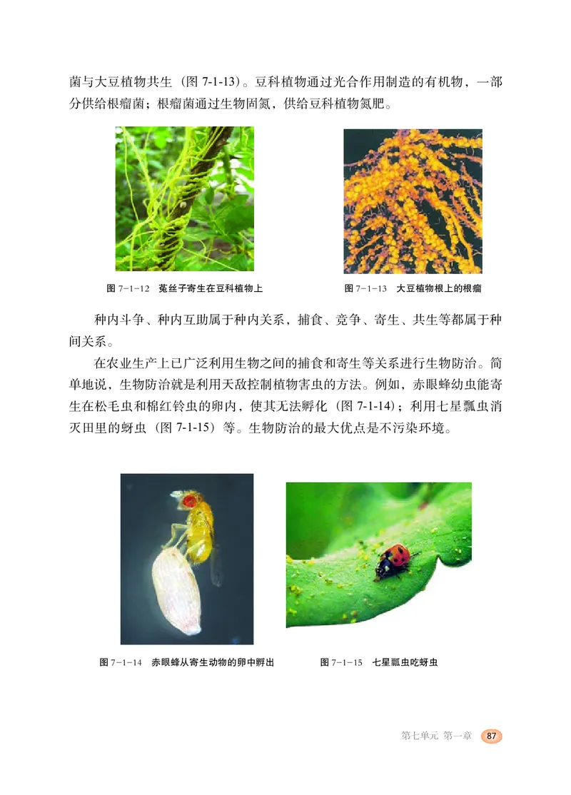 冀少版8年级生物下册高清教材_4-教培资料-26年最新资料-同步更新_初中高中教资_03科三专项（进去保存报考的学科即可）_02科三专项（笔记真题思维导图教学设计版本二）