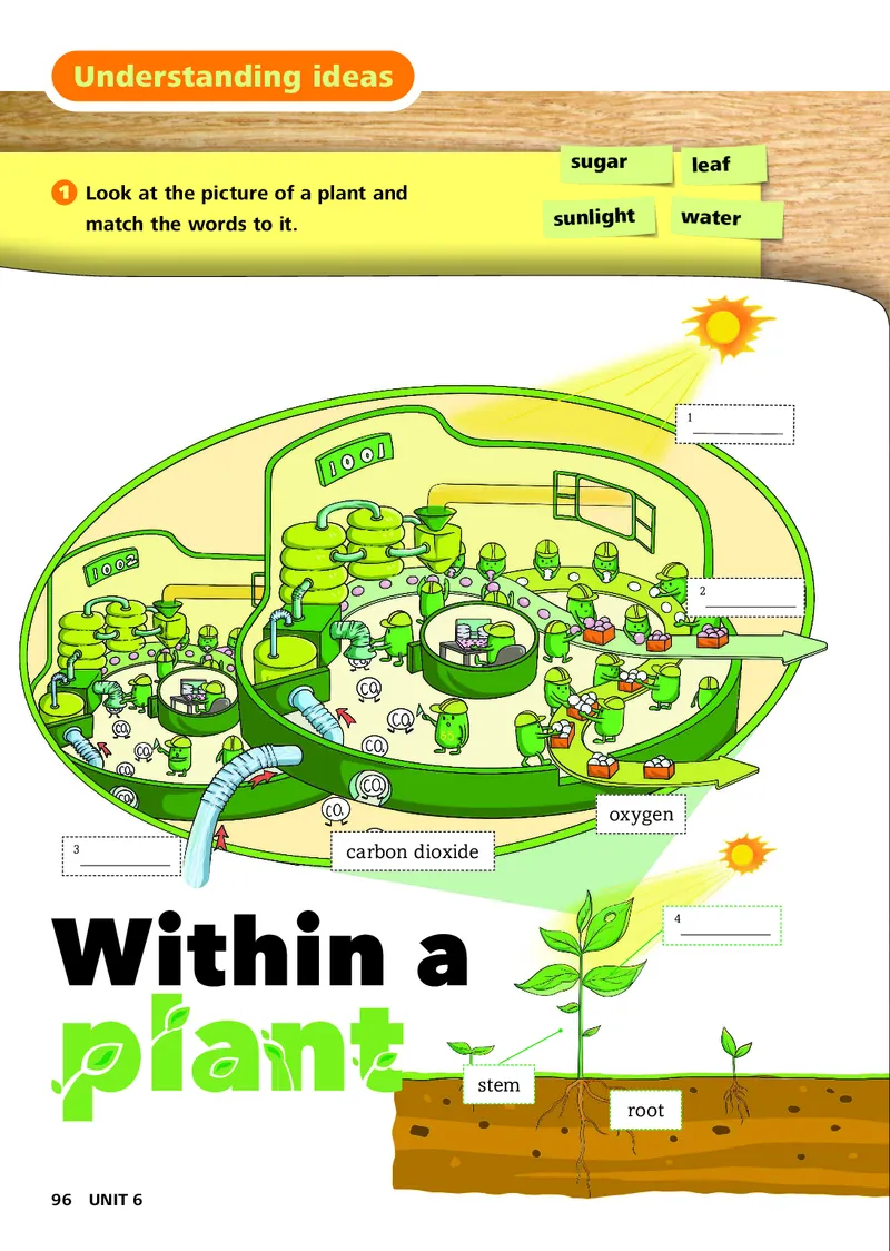 外研版7年级英语上册高清教材_4-教培资料-26年最新资料-同步更新_初中高中教资_03科三专项（进去保存报考的学科即可）_02科三专项（笔记真题思维导图教学设计版本二）