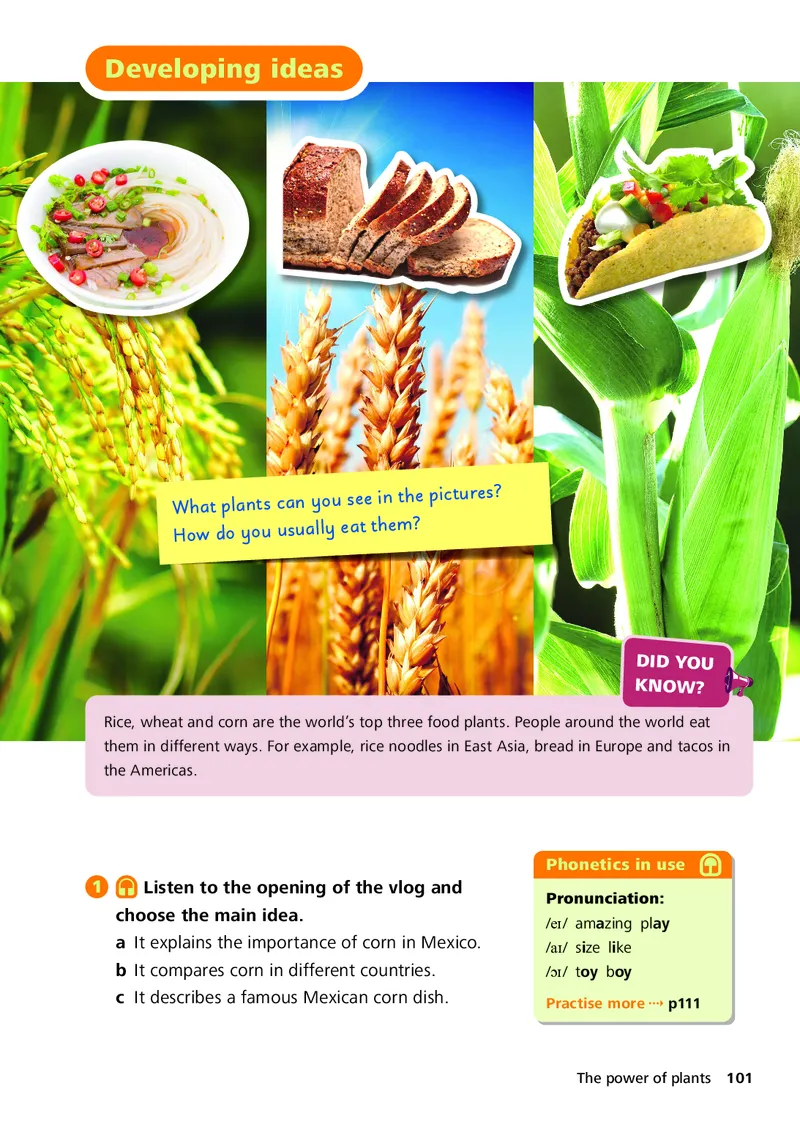 外研版7年级英语上册高清教材_4-教培资料-26年最新资料-同步更新_初中高中教资_03科三专项（进去保存报考的学科即可）_02科三专项（笔记真题思维导图教学设计版本二）