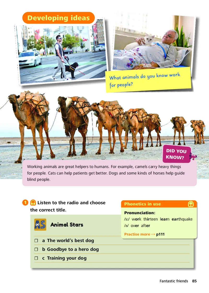 外研版7年级英语上册高清教材_4-教培资料-26年最新资料-同步更新_初中高中教资_03科三专项（进去保存报考的学科即可）_02科三专项（笔记真题思维导图教学设计版本二）