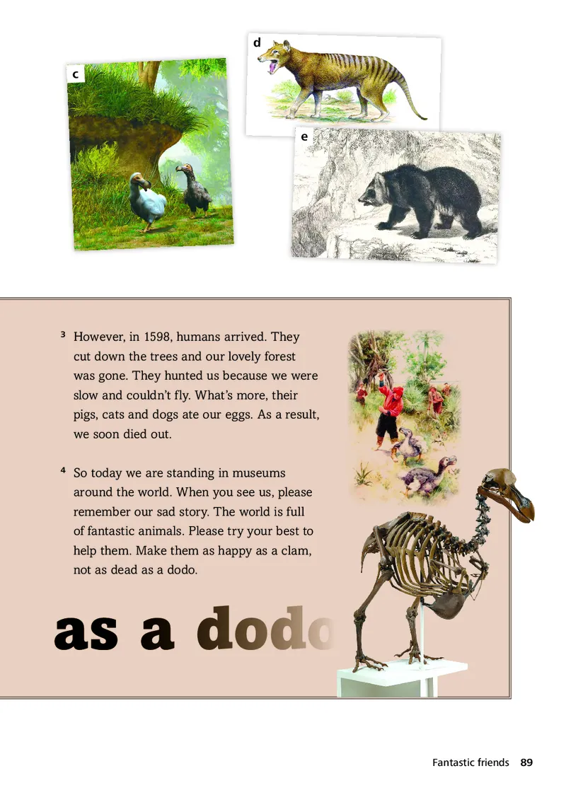 外研版7年级英语上册高清教材_4-教培资料-26年最新资料-同步更新_初中高中教资_03科三专项（进去保存报考的学科即可）_02科三专项（笔记真题思维导图教学设计版本二）