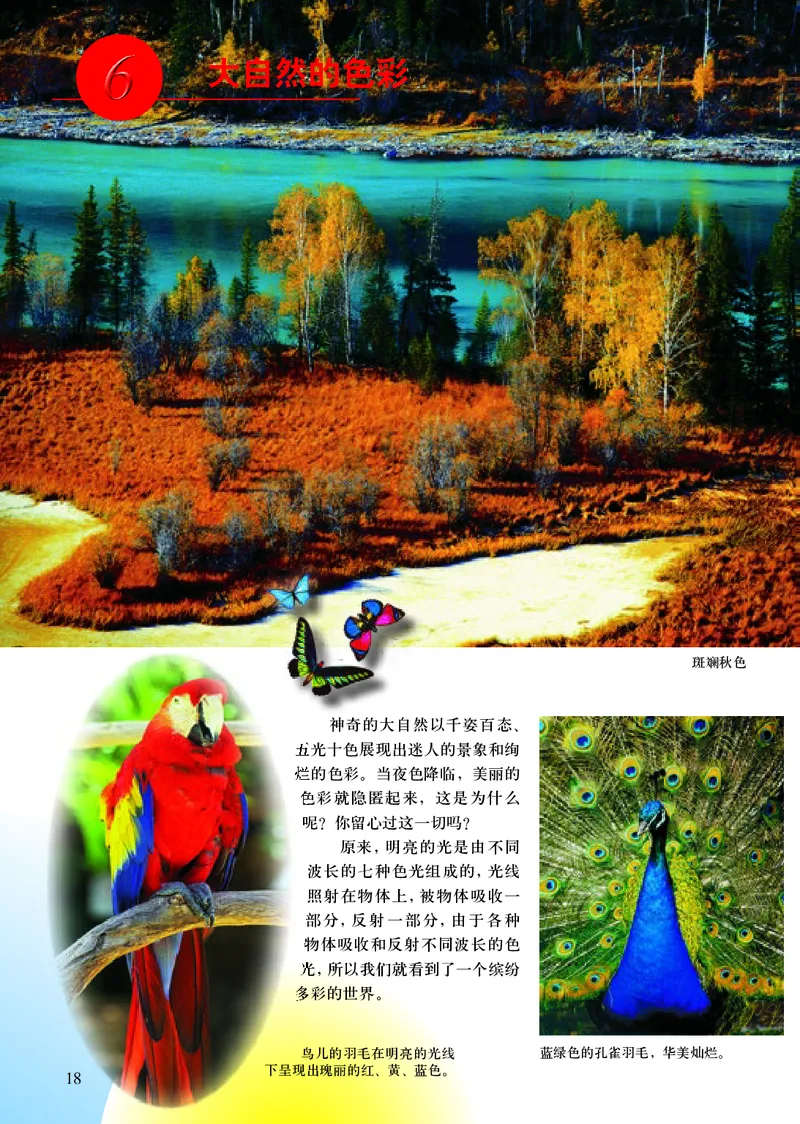 人美版7年级美术上册高清教材主编：常锐伦_4-教培资料-26年最新资料-同步更新_初中高中教资_03科三专项（进去保存报考的学科即可）_102025初中科目（全）电子教材