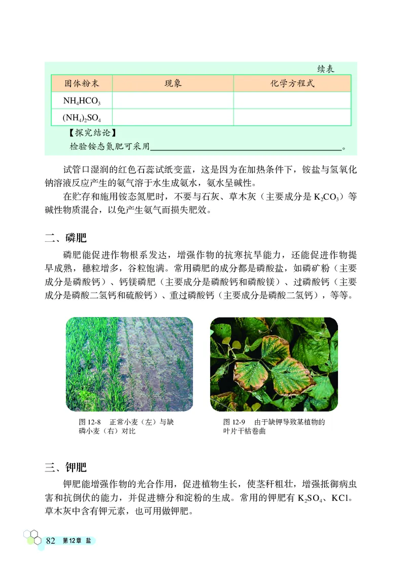 北京版9年级化学下册高清教材_4-教培资料-26年最新资料-同步更新_初中高中教资_03科三专项（进去保存报考的学科即可）_02科三专项（笔记真题思维导图教学设计版本二）