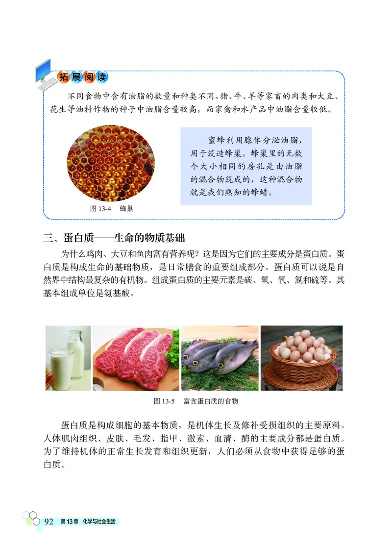 北京版9年级化学下册高清教材_4-教培资料-26年最新资料-同步更新_初中高中教资_03科三专项（进去保存报考的学科即可）_02科三专项（笔记真题思维导图教学设计版本二）