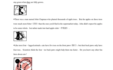 2019年山东省烟台中考英语试卷及答案_中考真题_3.英语中考真题2015-2024年_地区卷_山东省_烟台中考英语08-21