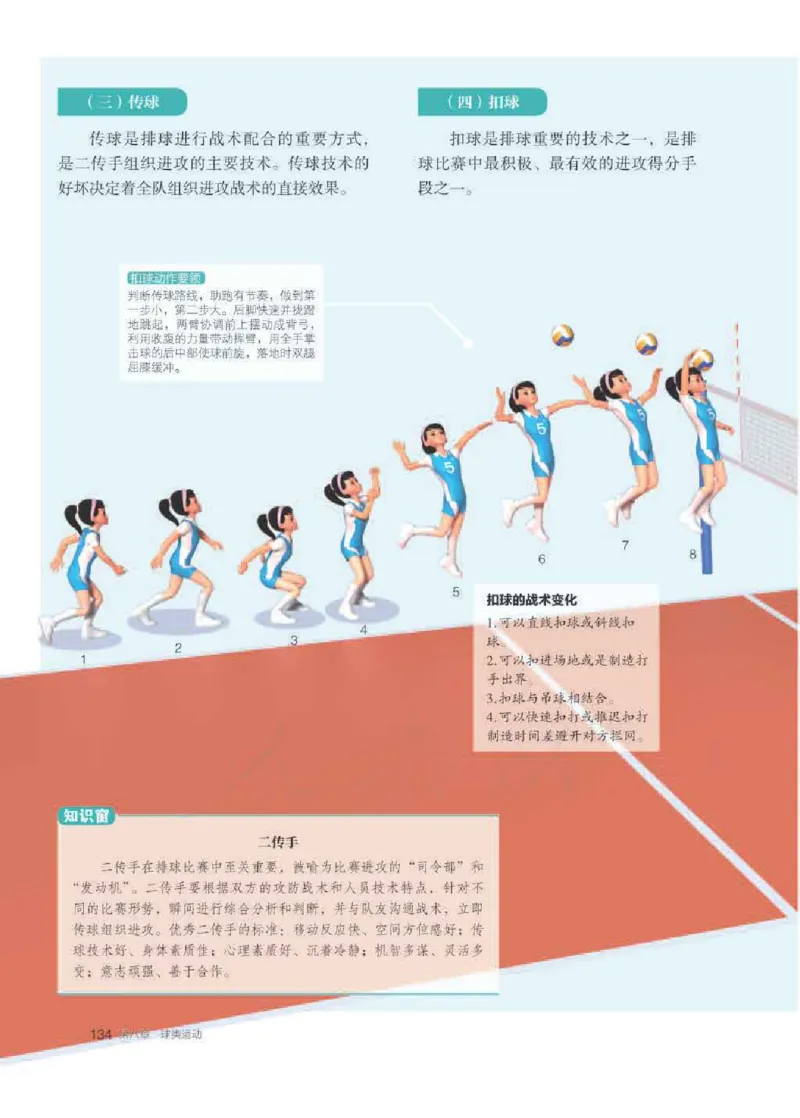 人教版体育全一册高清教材_4-教培资料-26年最新资料-同步更新_初中高中教资_03科三专项（进去保存报考的学科即可）_02科三专项（笔记真题思维导图教学设计版本二）