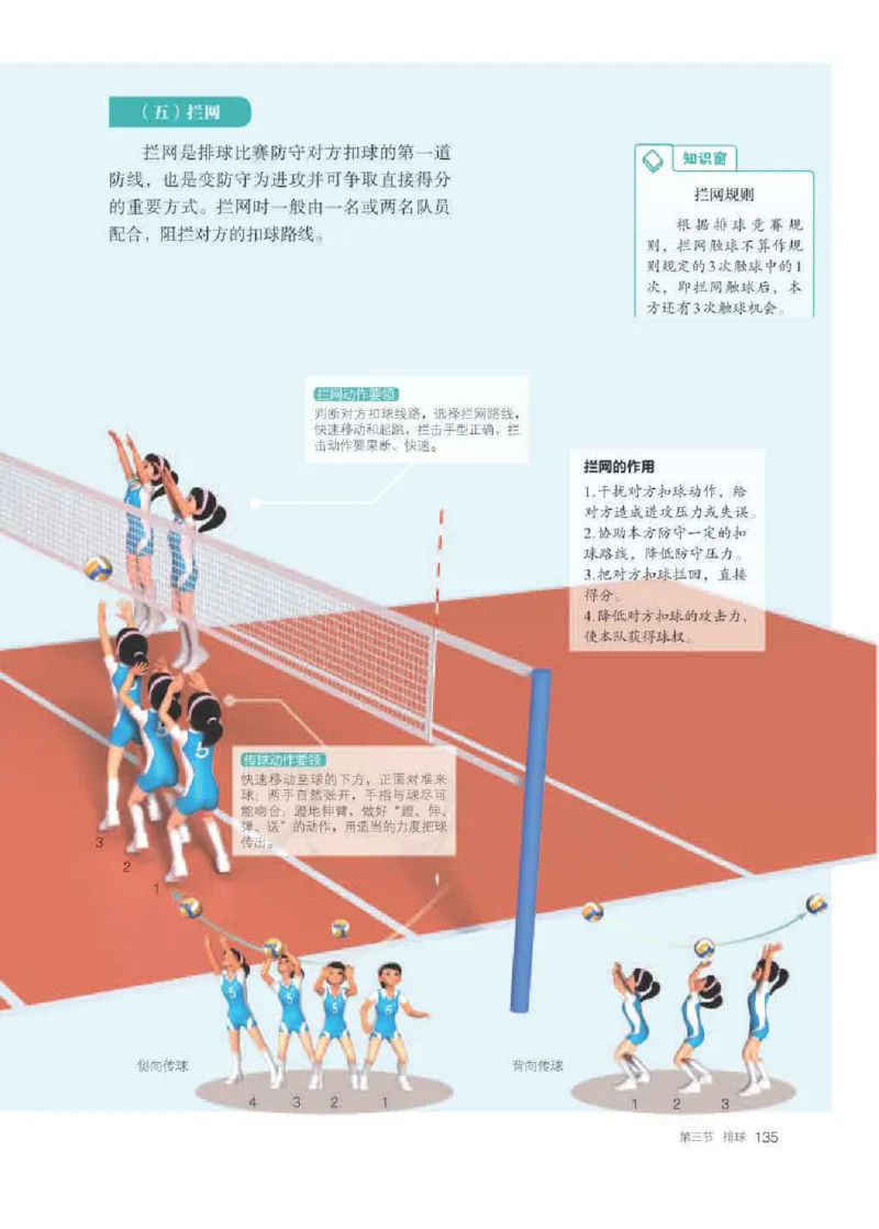 人教版体育全一册高清教材_4-教培资料-26年最新资料-同步更新_初中高中教资_03科三专项（进去保存报考的学科即可）_02科三专项（笔记真题思维导图教学设计版本二）