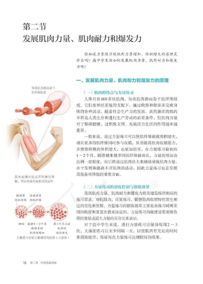 人教版体育全一册高清教材_4-教培资料-26年最新资料-同步更新_初中高中教资_03科三专项（进去保存报考的学科即可）_02科三专项（笔记真题思维导图教学设计版本二）