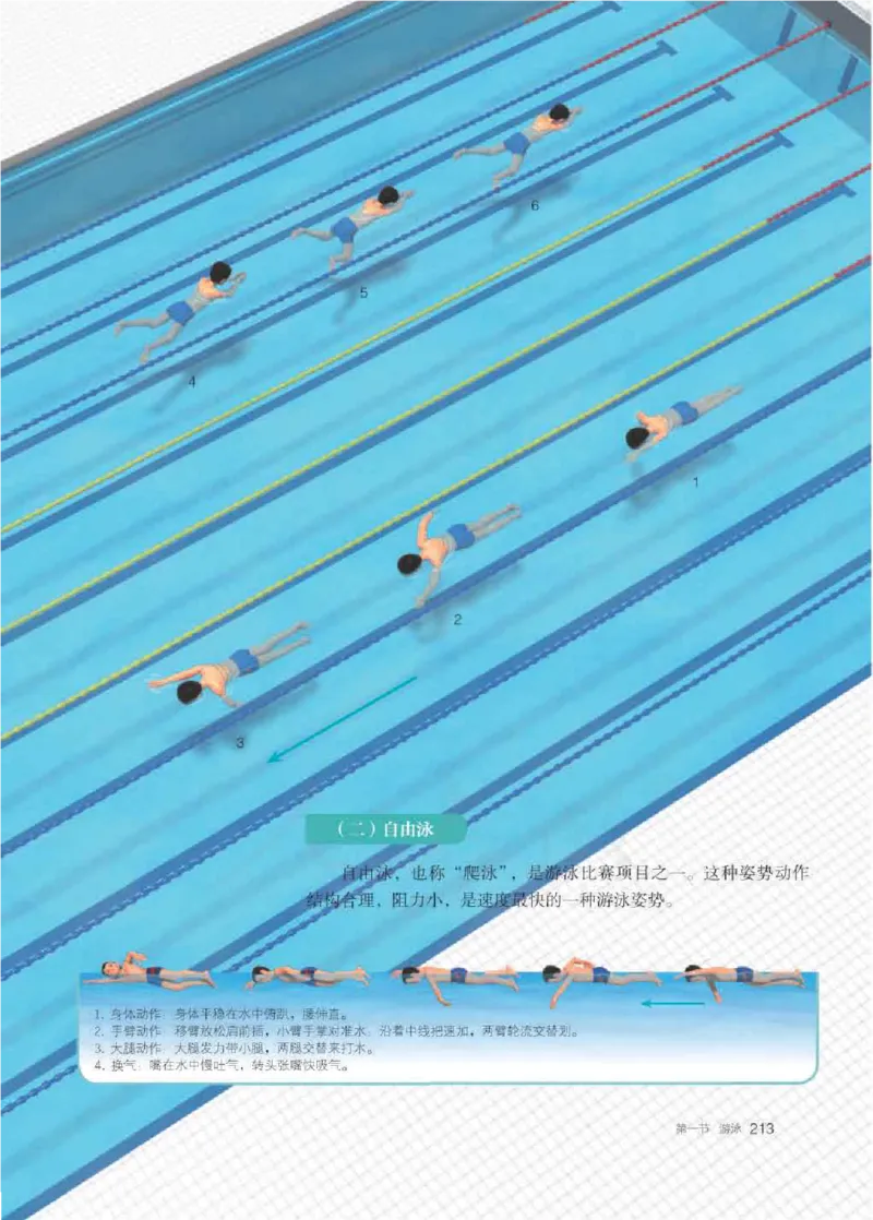 人教版体育全一册高清教材_4-教培资料-26年最新资料-同步更新_初中高中教资_03科三专项（进去保存报考的学科即可）_02科三专项（笔记真题思维导图教学设计版本二）