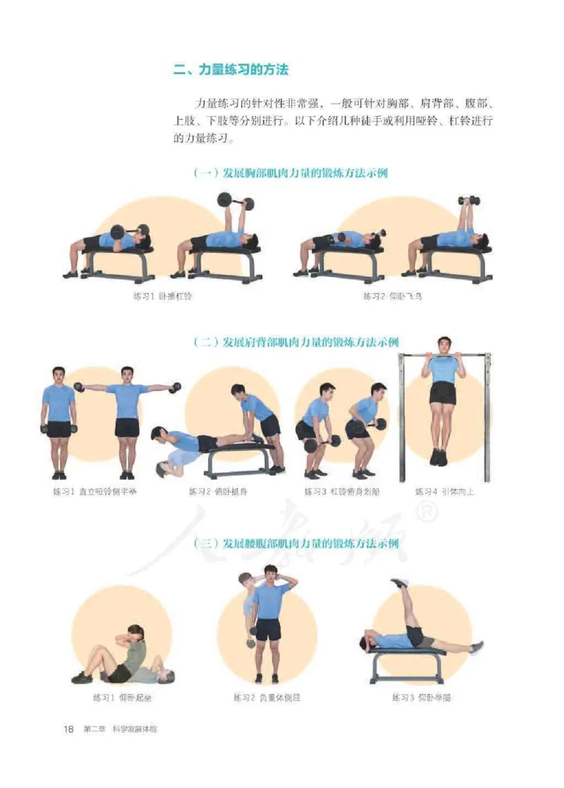 人教版体育全一册高清教材_4-教培资料-26年最新资料-同步更新_初中高中教资_03科三专项（进去保存报考的学科即可）_02科三专项（笔记真题思维导图教学设计版本二）