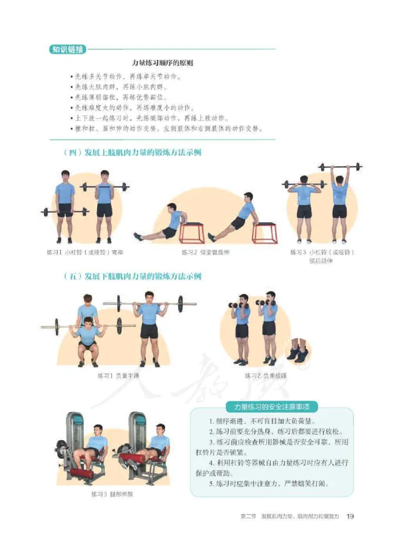 人教版体育全一册高清教材_4-教培资料-26年最新资料-同步更新_初中高中教资_03科三专项（进去保存报考的学科即可）_02科三专项（笔记真题思维导图教学设计版本二）