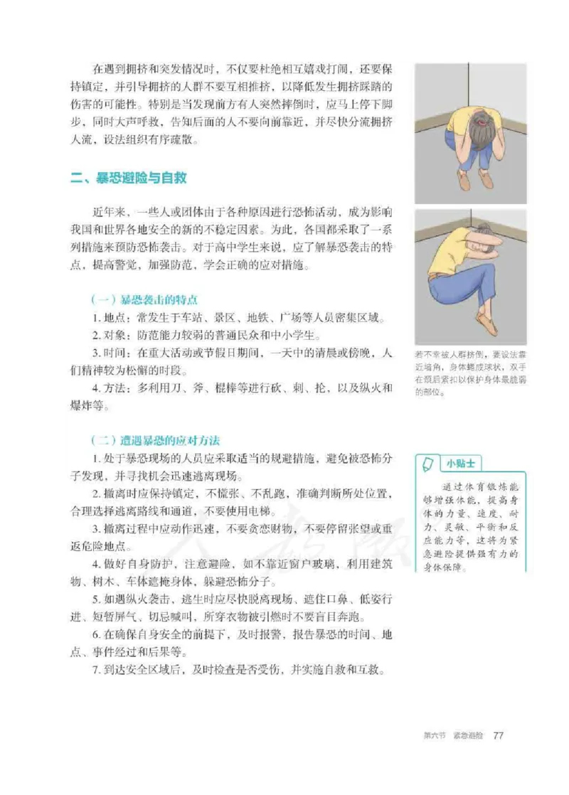 人教版体育全一册高清教材_4-教培资料-26年最新资料-同步更新_初中高中教资_03科三专项（进去保存报考的学科即可）_02科三专项（笔记真题思维导图教学设计版本二）