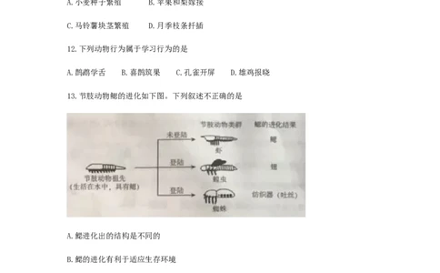 2018北京市中考生物真题及答案_中考真题_8.生物中考真题2015-2024年_地区卷_北京生物17-22