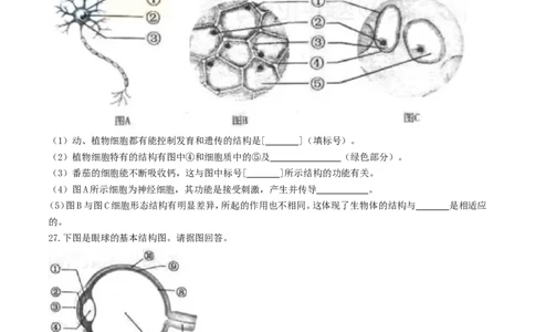 2017年长沙市中考生物试题和答案_中考真题_8.生物中考真题2015-2024年_地区卷_湖南省_湖南长沙生物08-22