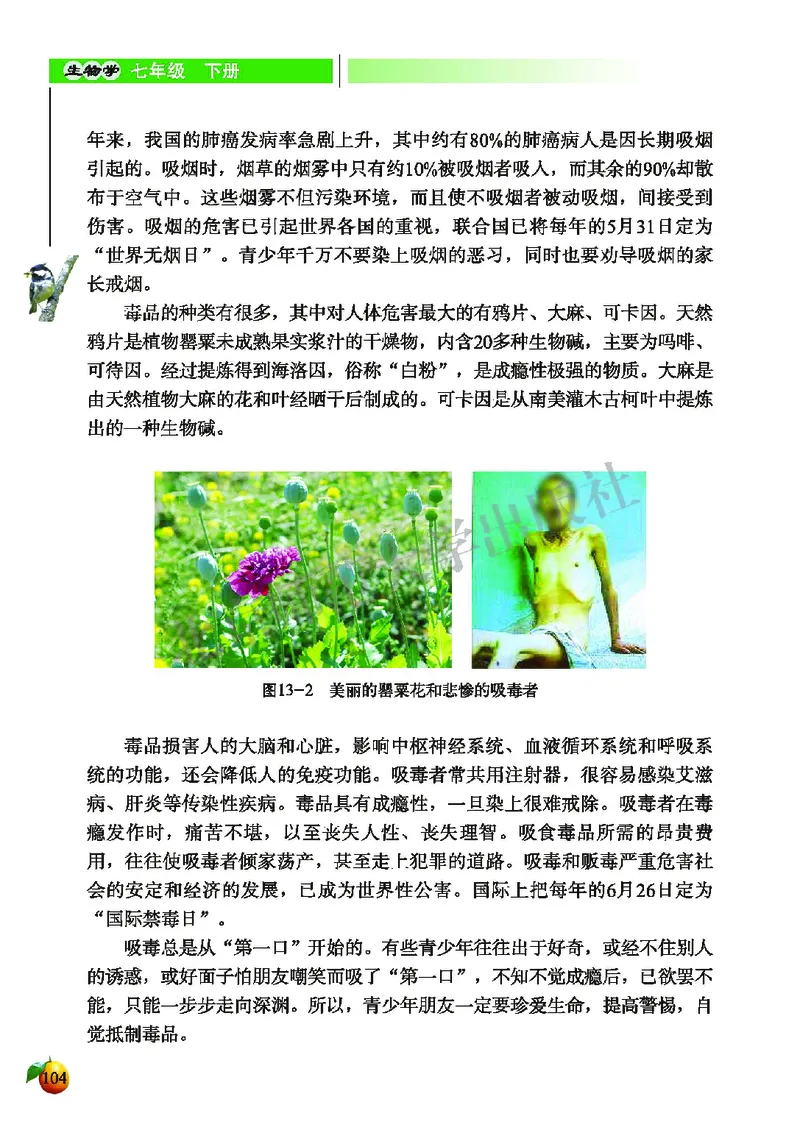 北师大7年级生物下册高清教材_4-教培资料-26年最新资料-同步更新_初中高中教资_03科三专项（进去保存报考的学科即可）_02科三专项（笔记真题思维导图教学设计版本二）