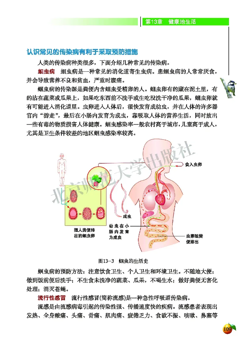 北师大7年级生物下册高清教材_4-教培资料-26年最新资料-同步更新_初中高中教资_03科三专项（进去保存报考的学科即可）_02科三专项（笔记真题思维导图教学设计版本二）
