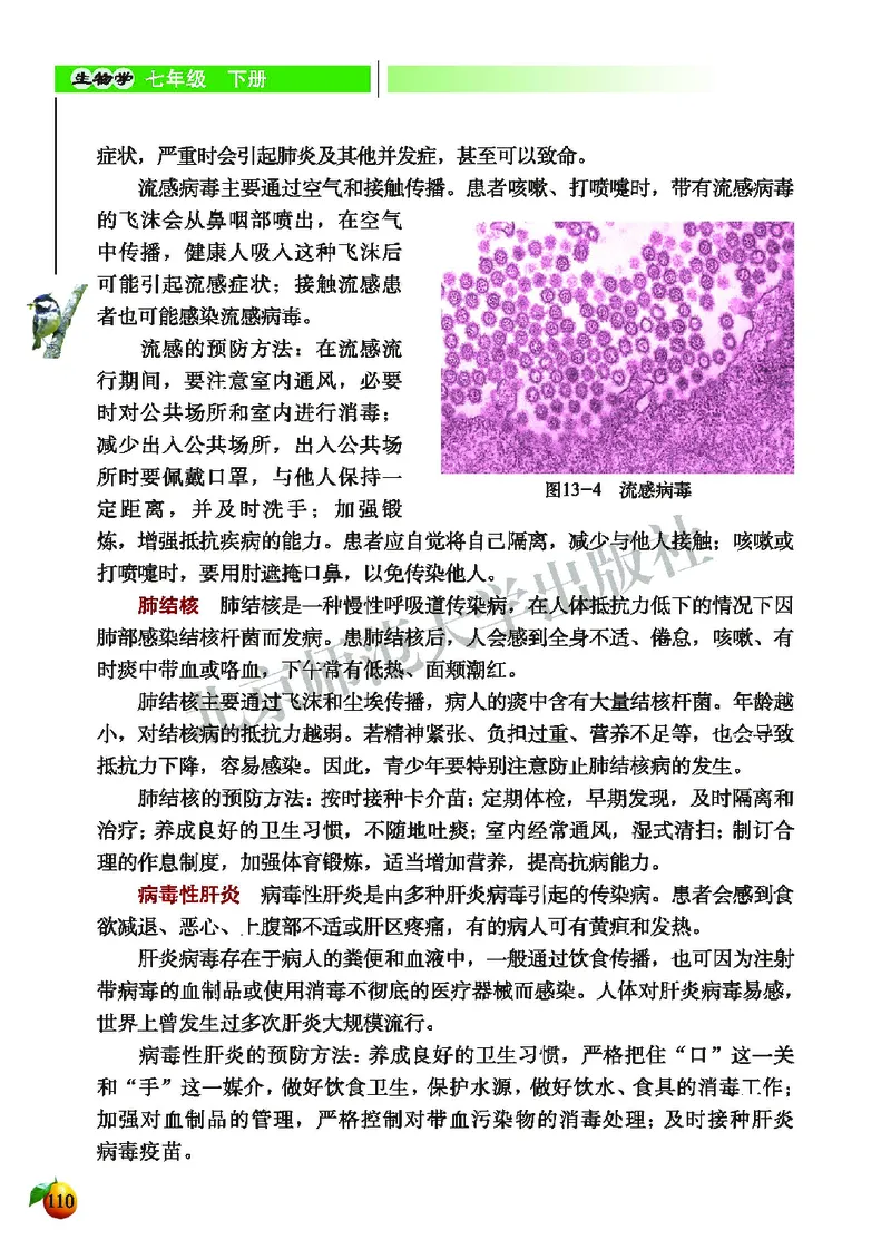北师大7年级生物下册高清教材_4-教培资料-26年最新资料-同步更新_初中高中教资_03科三专项（进去保存报考的学科即可）_02科三专项（笔记真题思维导图教学设计版本二）