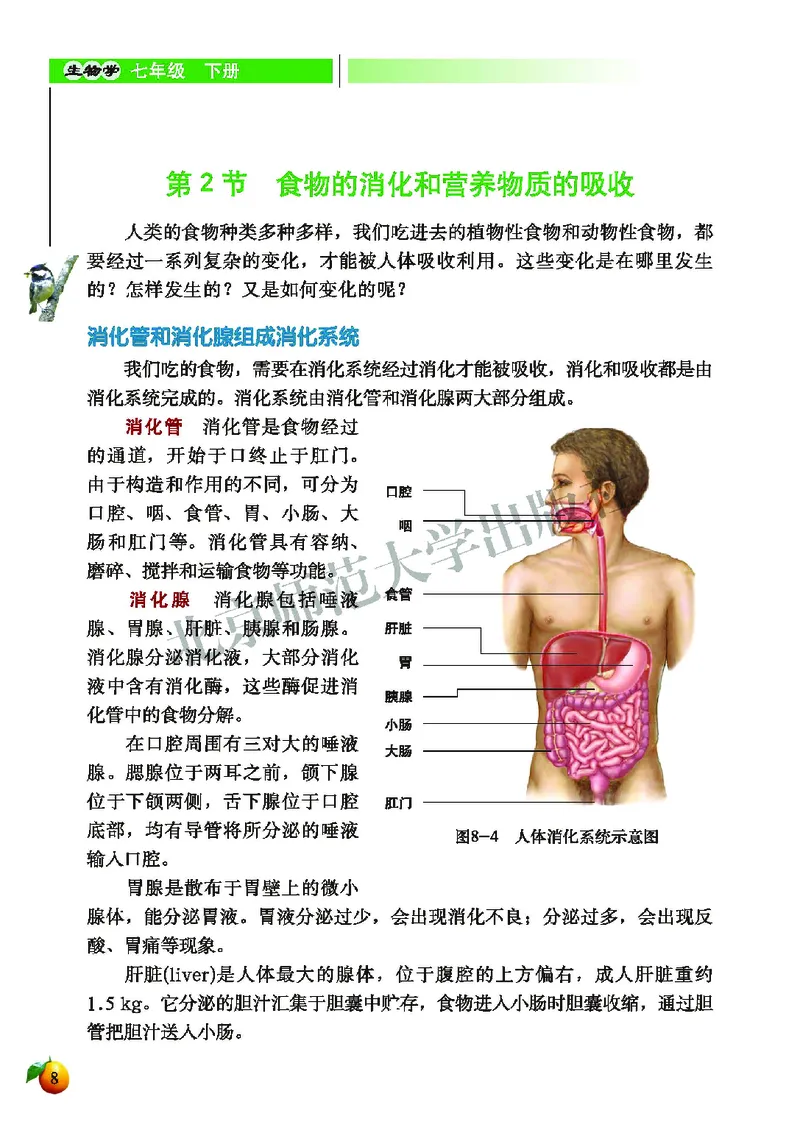 北师大7年级生物下册高清教材_4-教培资料-26年最新资料-同步更新_初中高中教资_03科三专项（进去保存报考的学科即可）_02科三专项（笔记真题思维导图教学设计版本二）