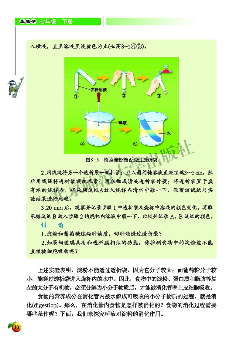北师大7年级生物下册高清教材_4-教培资料-26年最新资料-同步更新_初中高中教资_03科三专项（进去保存报考的学科即可）_02科三专项（笔记真题思维导图教学设计版本二）