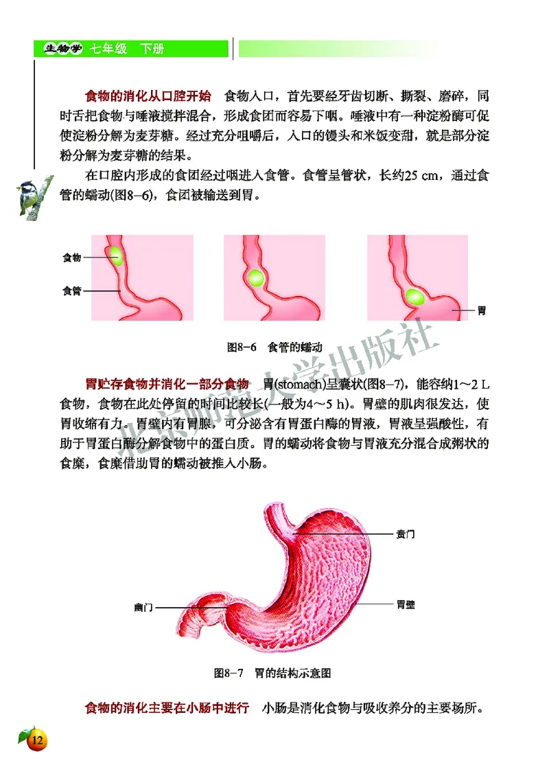 北师大7年级生物下册高清教材_4-教培资料-26年最新资料-同步更新_初中高中教资_03科三专项（进去保存报考的学科即可）_02科三专项（笔记真题思维导图教学设计版本二）