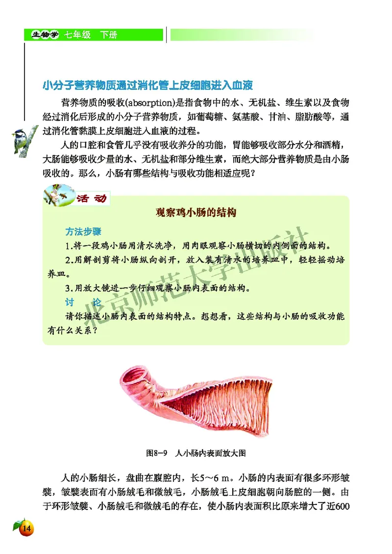 北师大7年级生物下册高清教材_4-教培资料-26年最新资料-同步更新_初中高中教资_03科三专项（进去保存报考的学科即可）_02科三专项（笔记真题思维导图教学设计版本二）