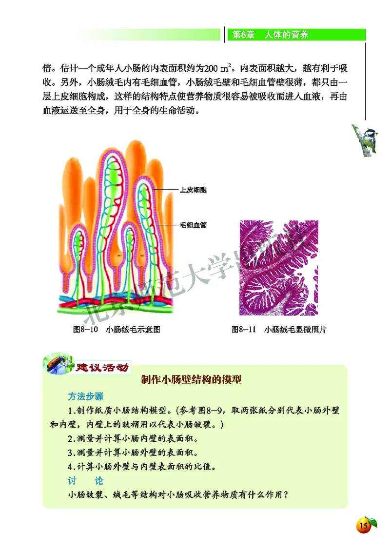 北师大7年级生物下册高清教材_4-教培资料-26年最新资料-同步更新_初中高中教资_03科三专项（进去保存报考的学科即可）_02科三专项（笔记真题思维导图教学设计版本二）
