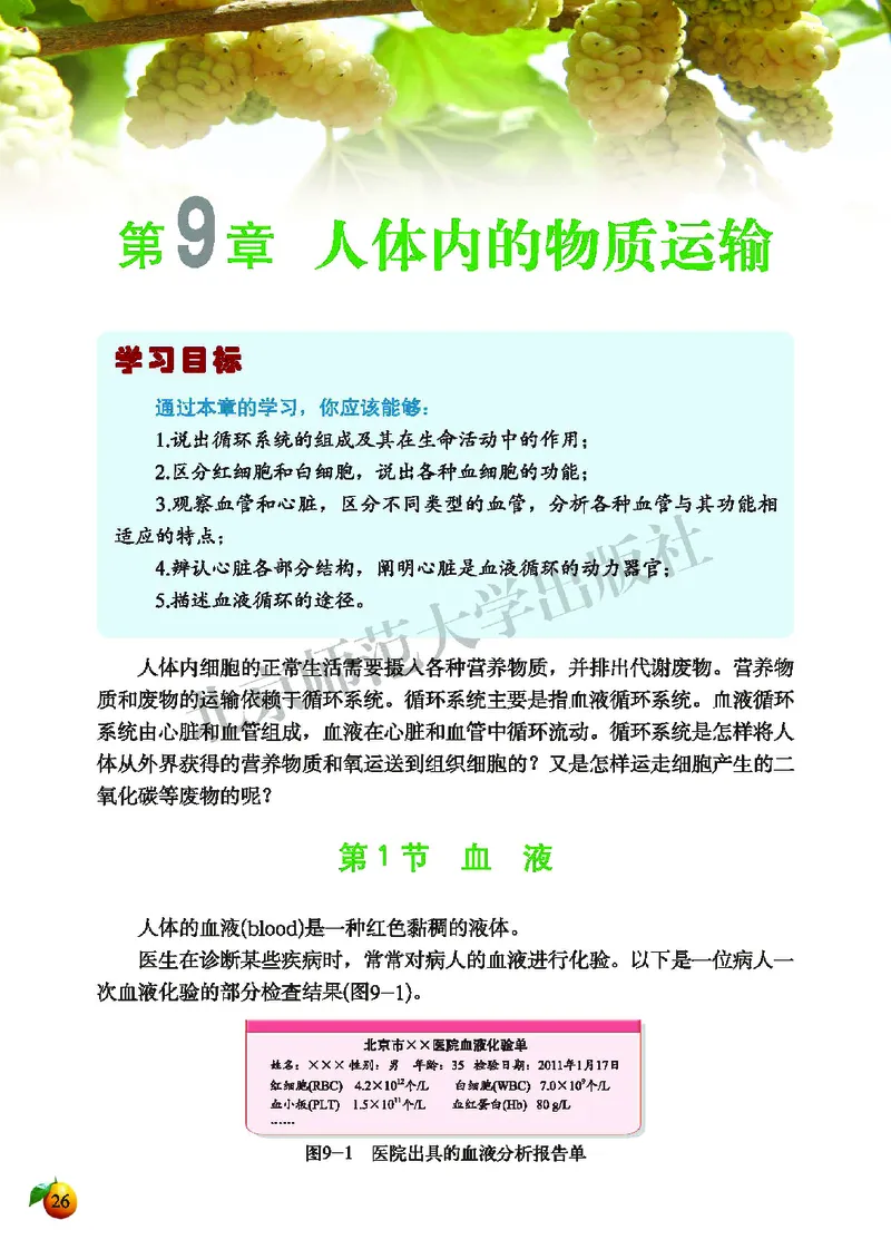 北师大7年级生物下册高清教材_4-教培资料-26年最新资料-同步更新_初中高中教资_03科三专项（进去保存报考的学科即可）_02科三专项（笔记真题思维导图教学设计版本二）