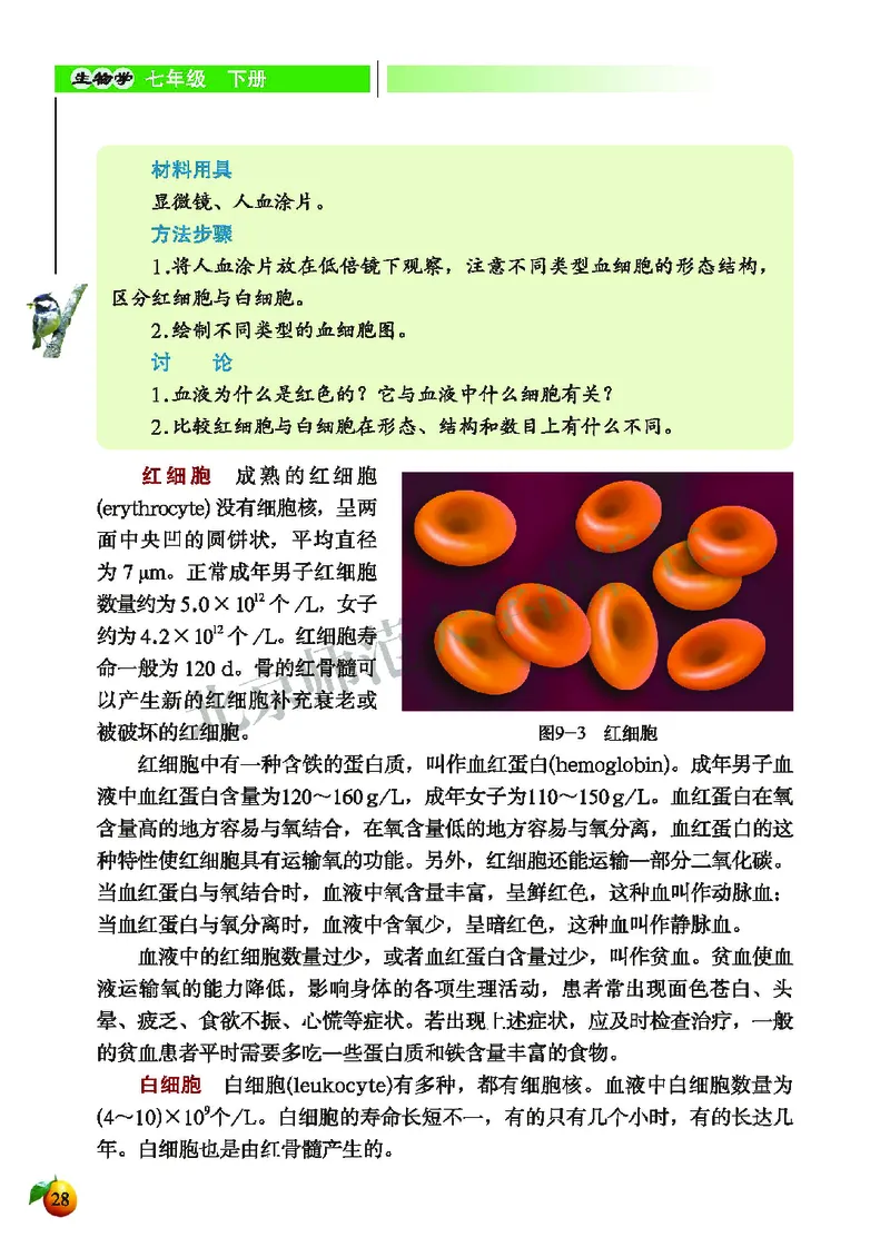 北师大7年级生物下册高清教材_4-教培资料-26年最新资料-同步更新_初中高中教资_03科三专项（进去保存报考的学科即可）_02科三专项（笔记真题思维导图教学设计版本二）
