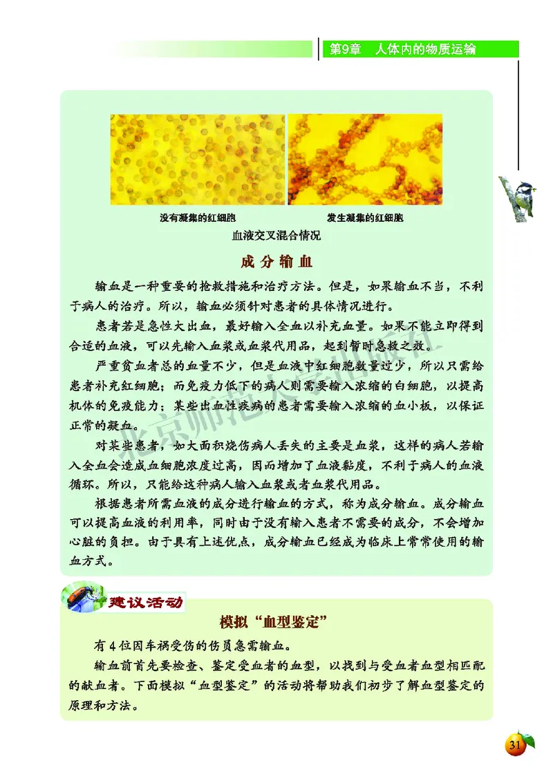 北师大7年级生物下册高清教材_4-教培资料-26年最新资料-同步更新_初中高中教资_03科三专项（进去保存报考的学科即可）_02科三专项（笔记真题思维导图教学设计版本二）
