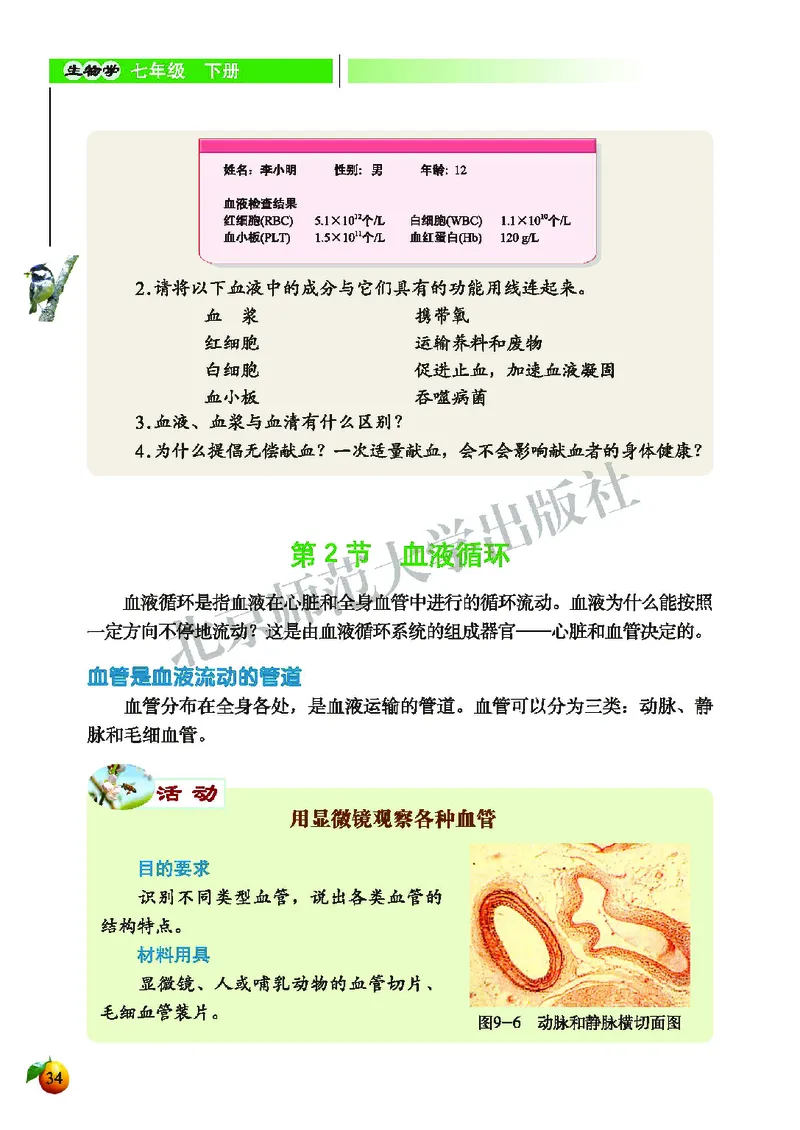 北师大7年级生物下册高清教材_4-教培资料-26年最新资料-同步更新_初中高中教资_03科三专项（进去保存报考的学科即可）_02科三专项（笔记真题思维导图教学设计版本二）