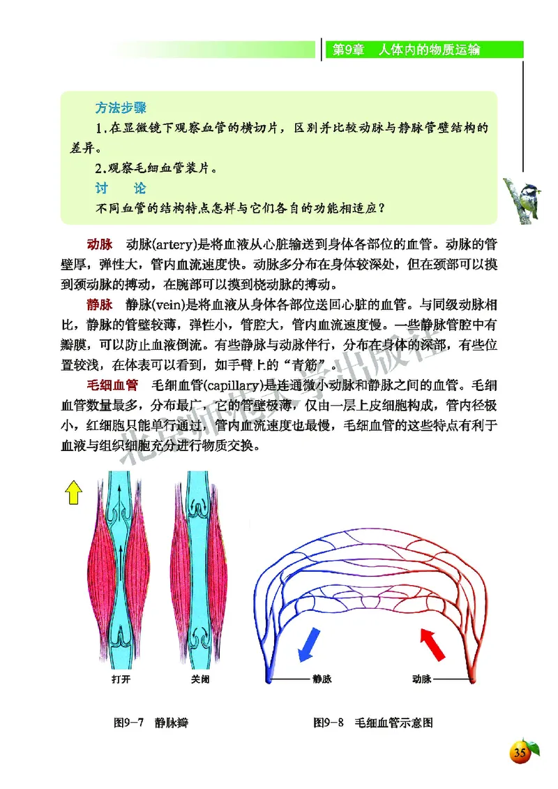 北师大7年级生物下册高清教材_4-教培资料-26年最新资料-同步更新_初中高中教资_03科三专项（进去保存报考的学科即可）_02科三专项（笔记真题思维导图教学设计版本二）