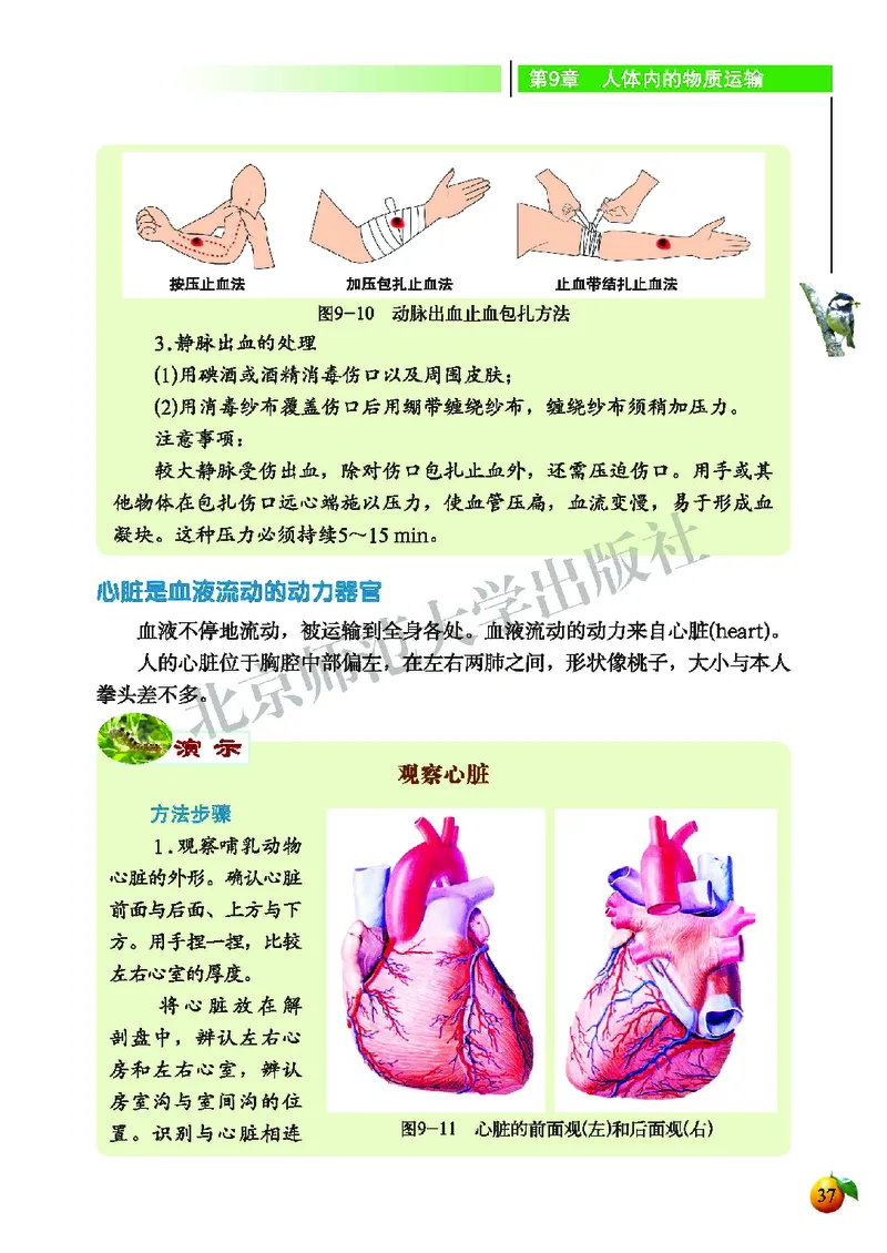 北师大7年级生物下册高清教材_4-教培资料-26年最新资料-同步更新_初中高中教资_03科三专项（进去保存报考的学科即可）_02科三专项（笔记真题思维导图教学设计版本二）