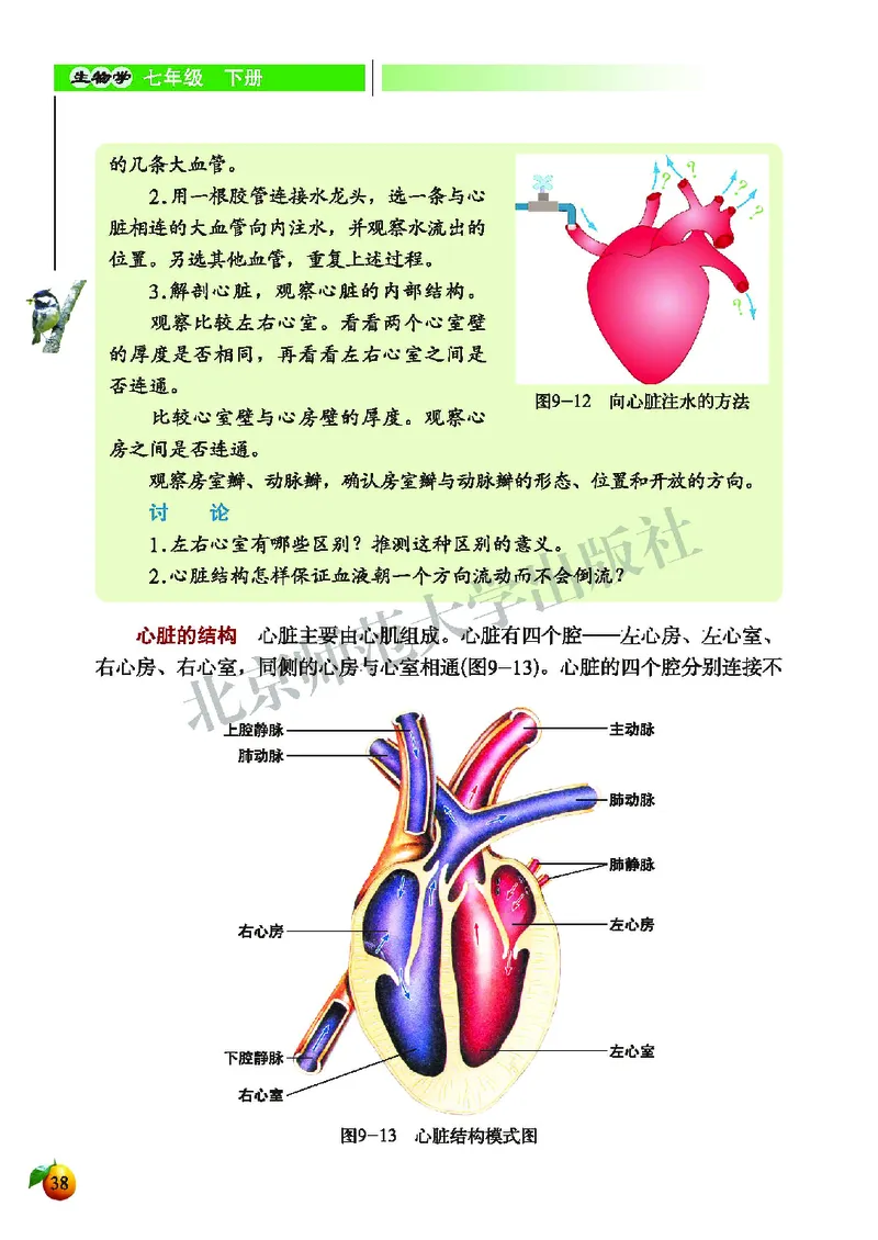 北师大7年级生物下册高清教材_4-教培资料-26年最新资料-同步更新_初中高中教资_03科三专项（进去保存报考的学科即可）_02科三专项（笔记真题思维导图教学设计版本二）