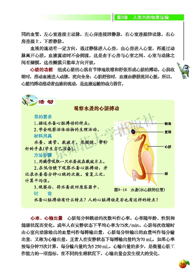 北师大7年级生物下册高清教材_4-教培资料-26年最新资料-同步更新_初中高中教资_03科三专项（进去保存报考的学科即可）_02科三专项（笔记真题思维导图教学设计版本二）